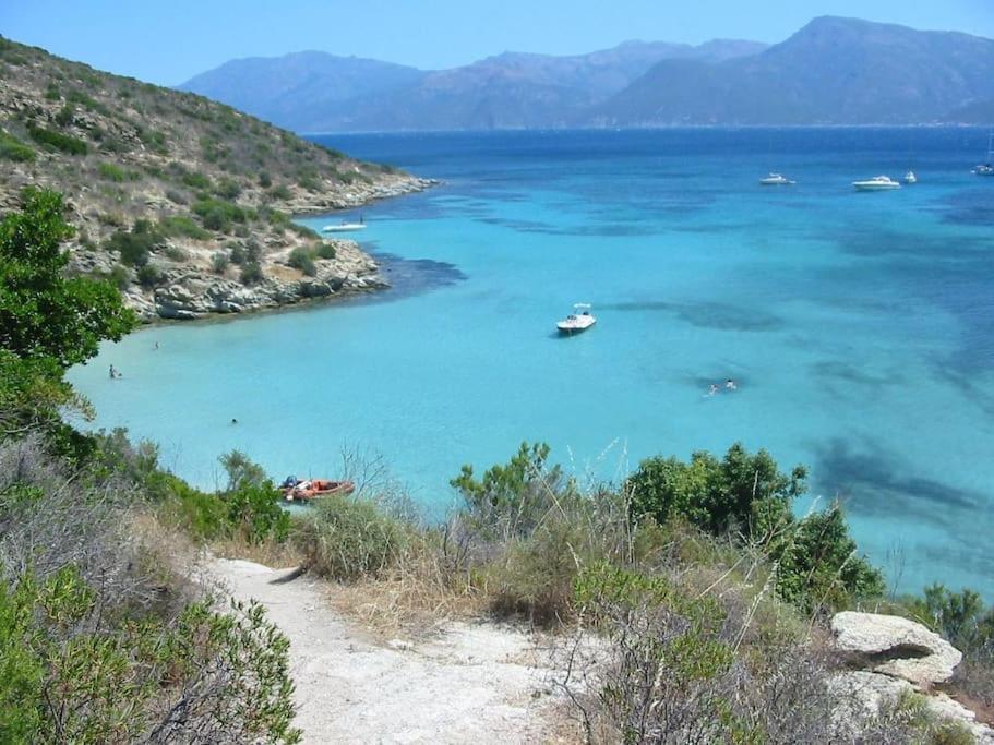 Studio Centre Ville Saint-Florent A 100M De La Mer Saint-Florent (Corsica) Exterior foto